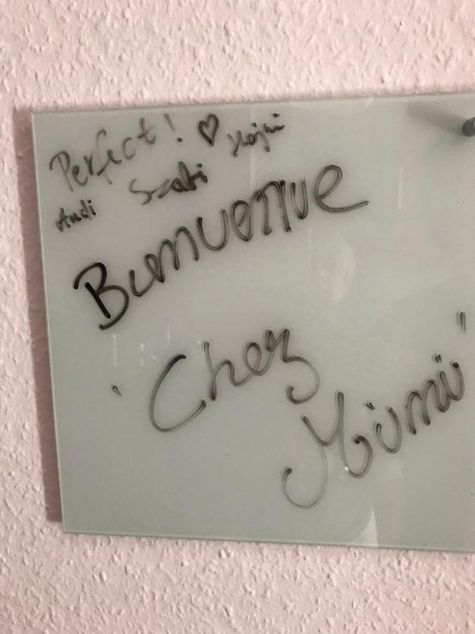 Chez Mumu Apartment Colmar Exterior photo